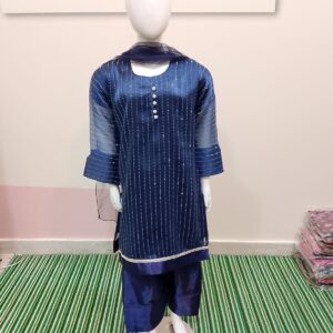 Kids Girl Fancy Party Wear